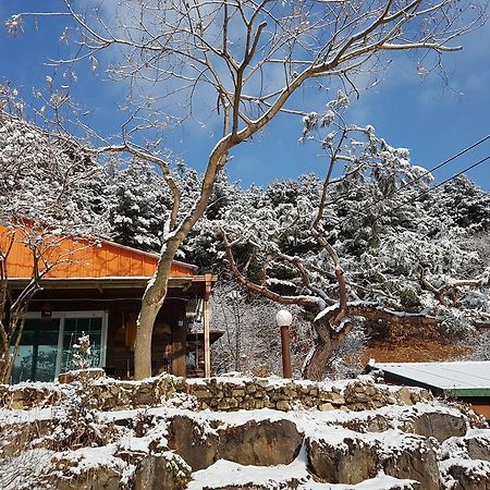 Bluesky Pension Пхочхон Экстерьер фото