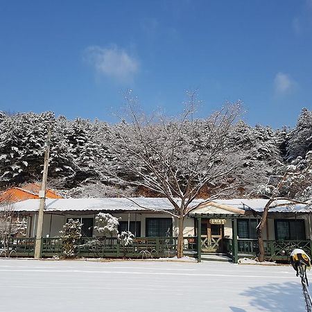 Bluesky Pension Пхочхон Экстерьер фото