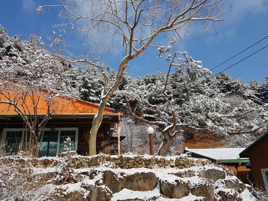 Bluesky Pension Пхочхон Экстерьер фото
